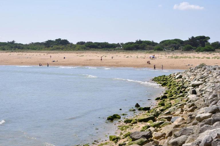 A 80M De La Plage De Plaisance Pour 8 Personnes Saint-Georges-d'Oleron Exteriér fotografie